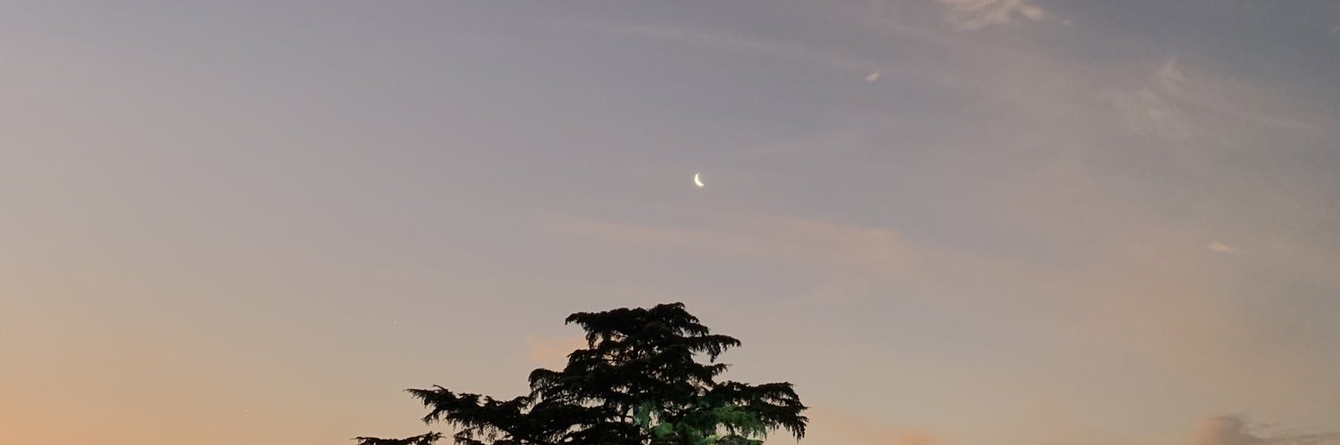 meechigranelli's profile banner image