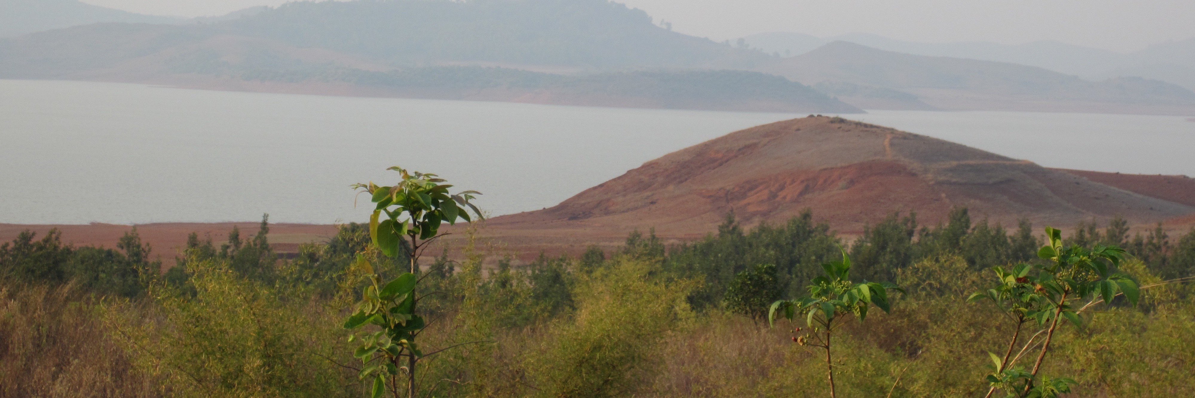 alkapateriya's profile banner image