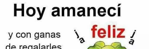 omvalles's profile banner image