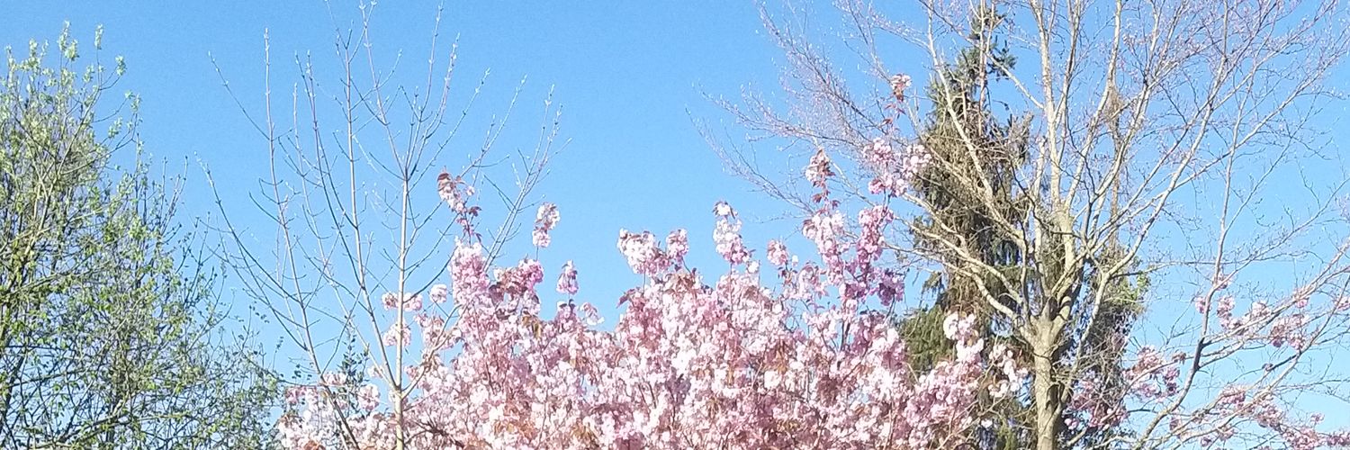 ADROADRO's profile banner image