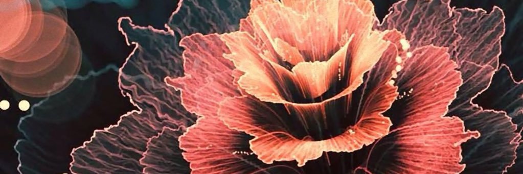 Kimouw261's profile banner image