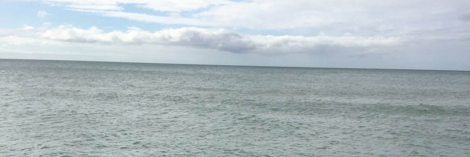 EmilySelbak's profile banner image