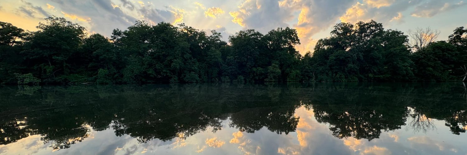 Meg Fairfax Fielding banner