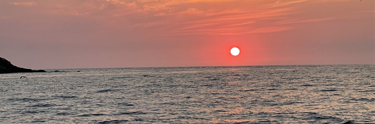 ximenayanezv's profile banner image