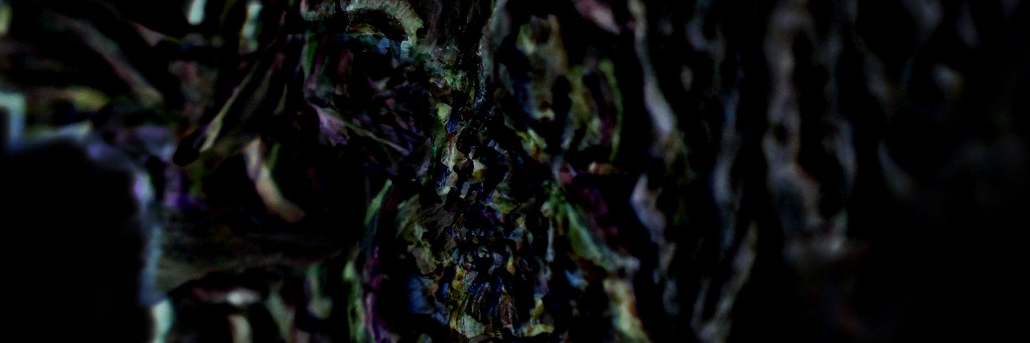 Monkoora's profile banner image