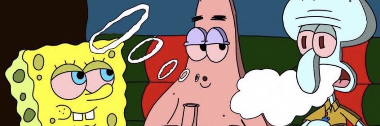 shy_sully's profile banner image