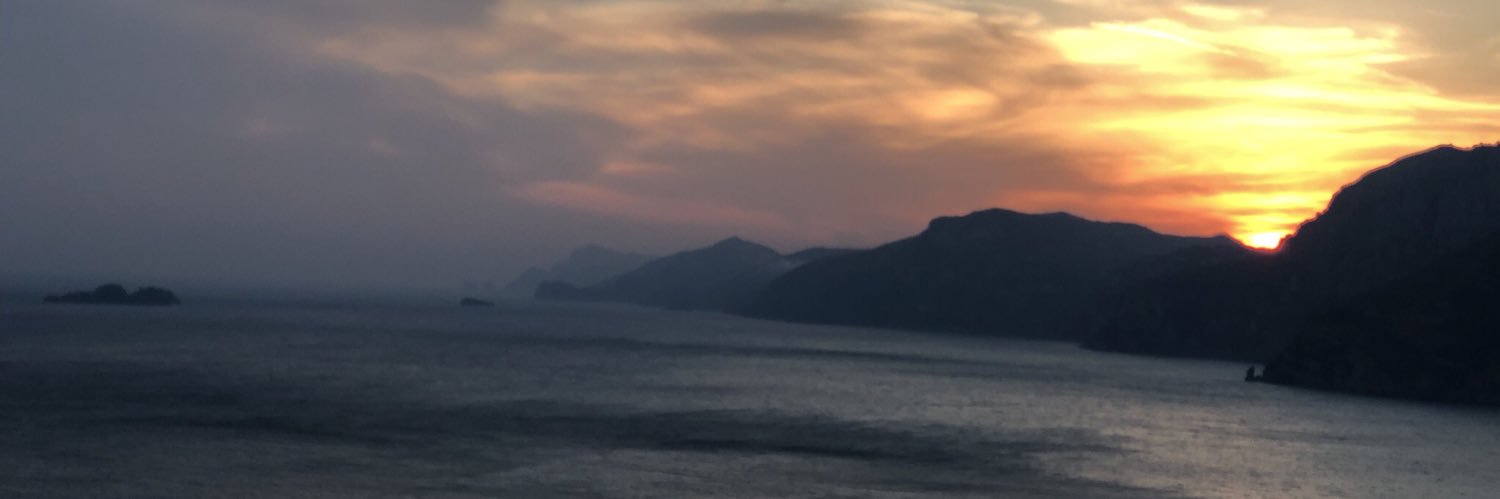 stephhshamm's profile banner image