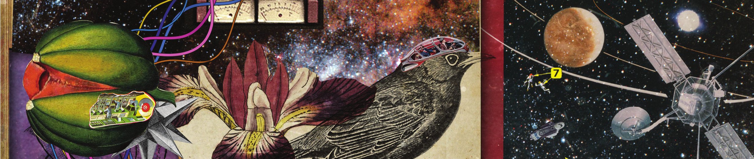 bilk_twitt's profile banner image