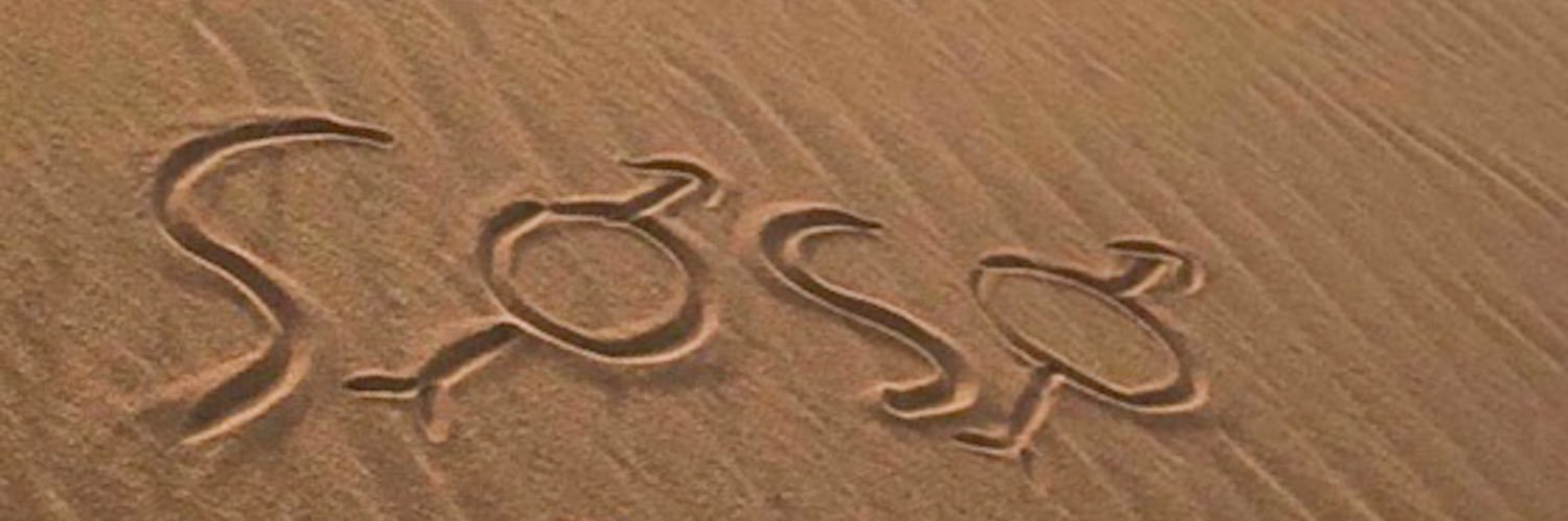 Sus9i's profile banner image