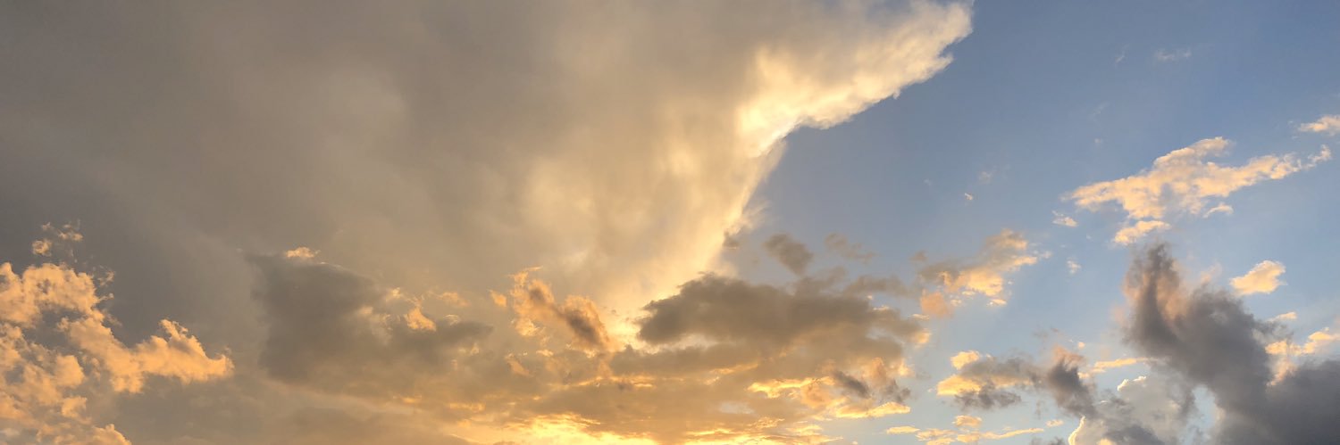 shayleefitterer's profile banner image