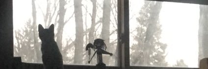 MicaelaHorning's profile banner image