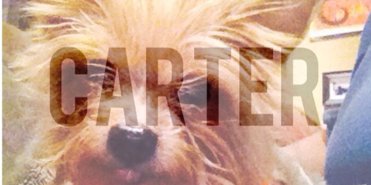 CarterMiniMan's profile banner image