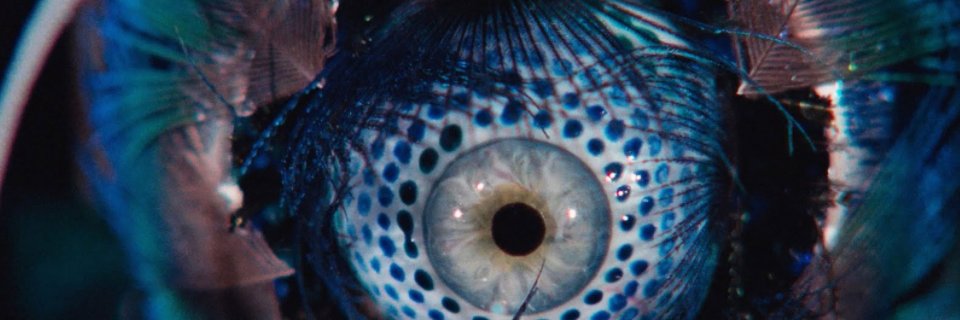 ColtraneSanders's profile banner image