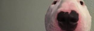 LinksClone banner