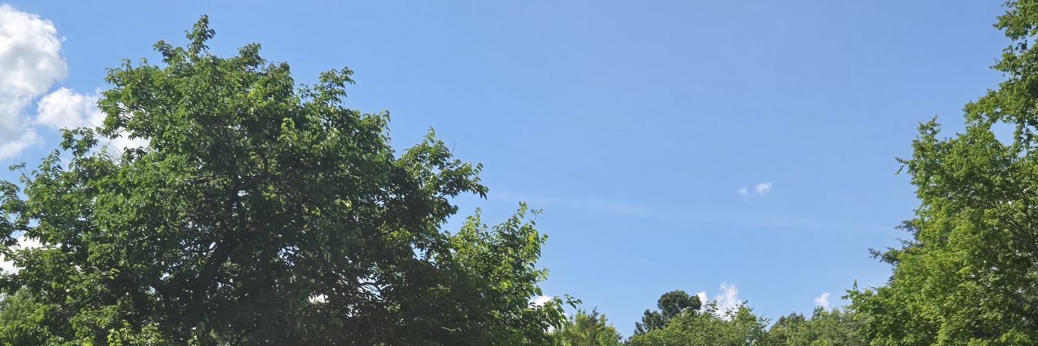 nvrnw1's profile banner image