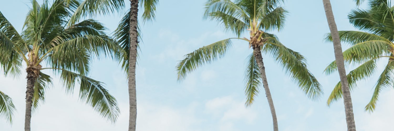 A418s's profile banner image