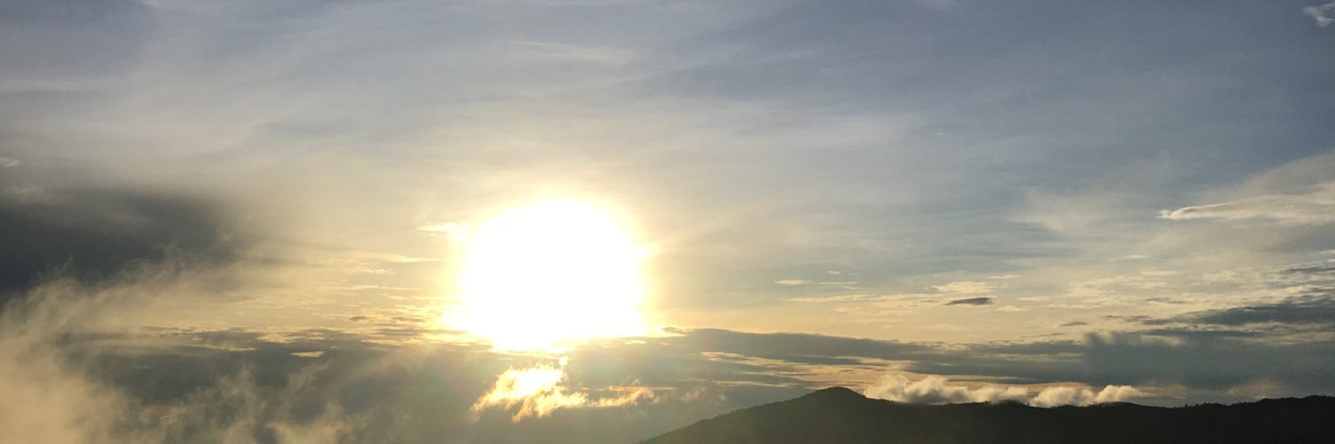 thisisdelia's profile banner image