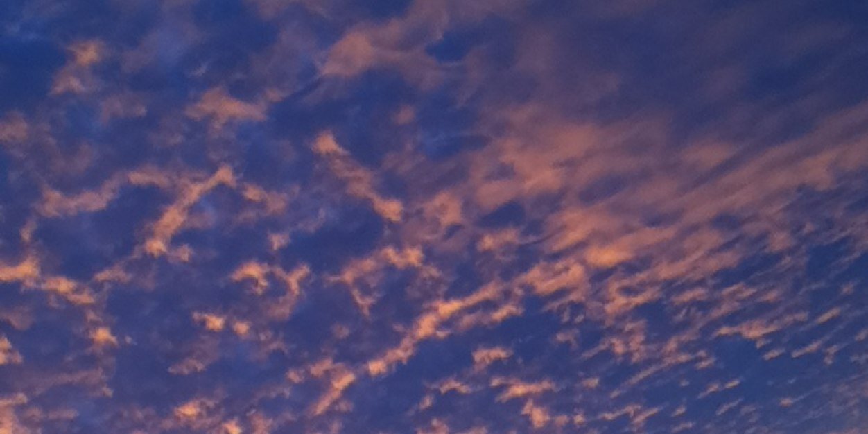 Lexi1410's profile banner image