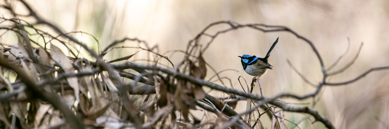 BrettAllenPhoto's profile banner image
