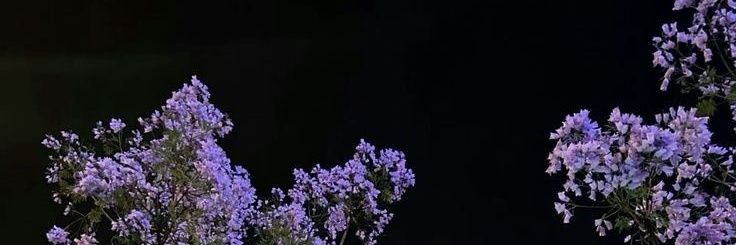 savethedrama4's profile banner image