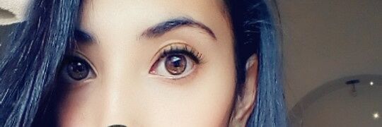 Vani_Rendon's profile banner image