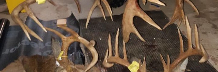 buzzsaw95's profile banner image