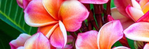 BeaticasPorBea's profile banner image