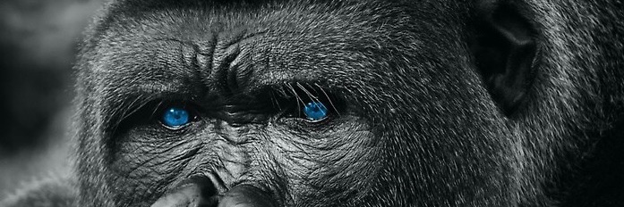 BobbyFraumann's profile banner image