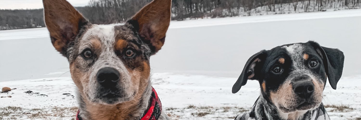 Lindsay_51's profile banner image