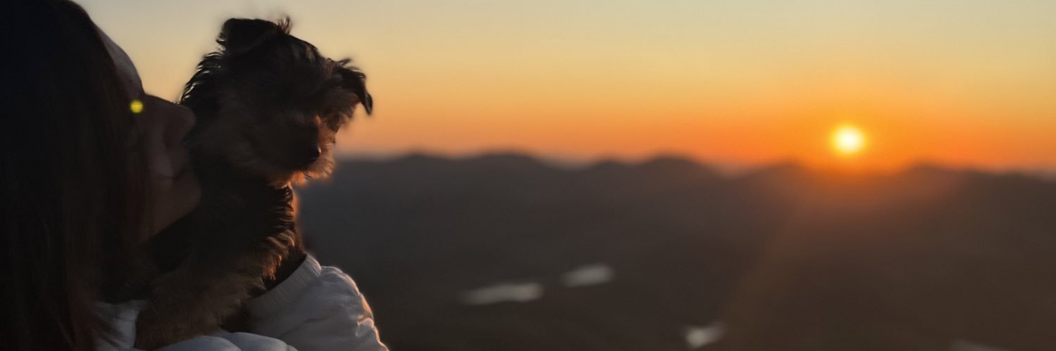 Carol_Bard's profile banner image