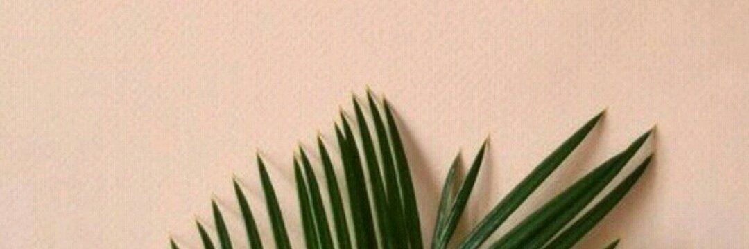 fisisti's profile banner image