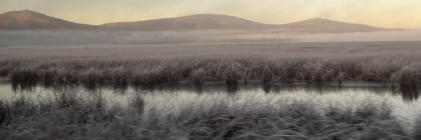 MalikKahook Profile Banner