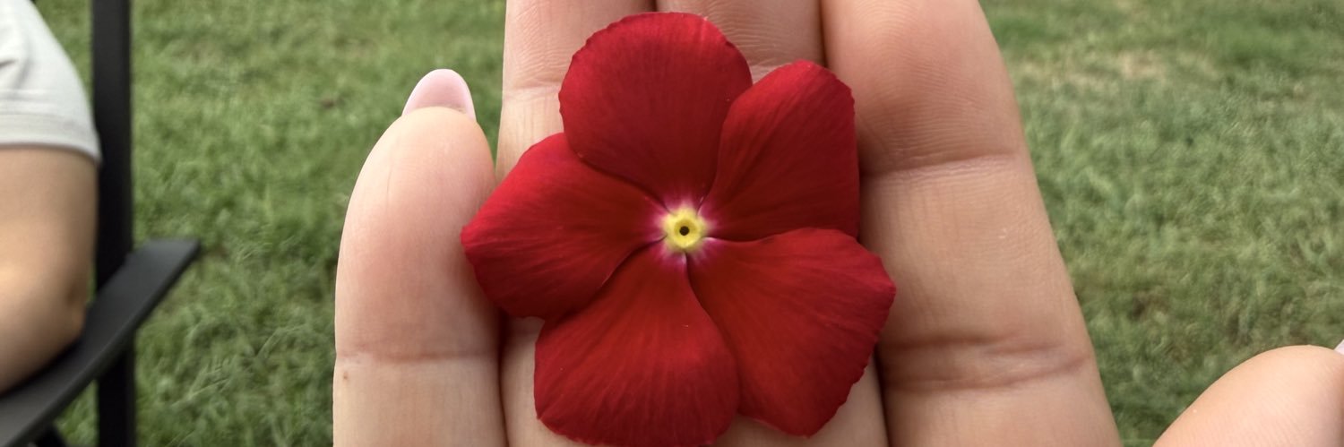 boniboniale95's profile banner image