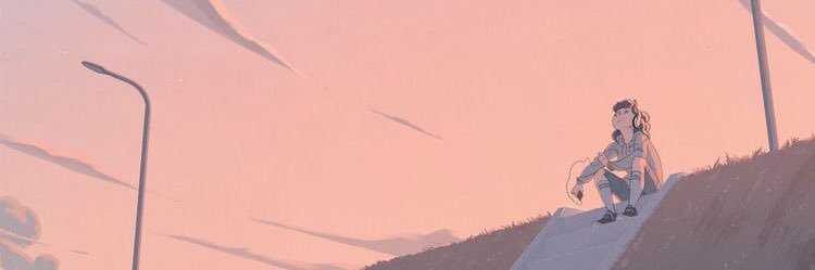 PASSA INSTA banner