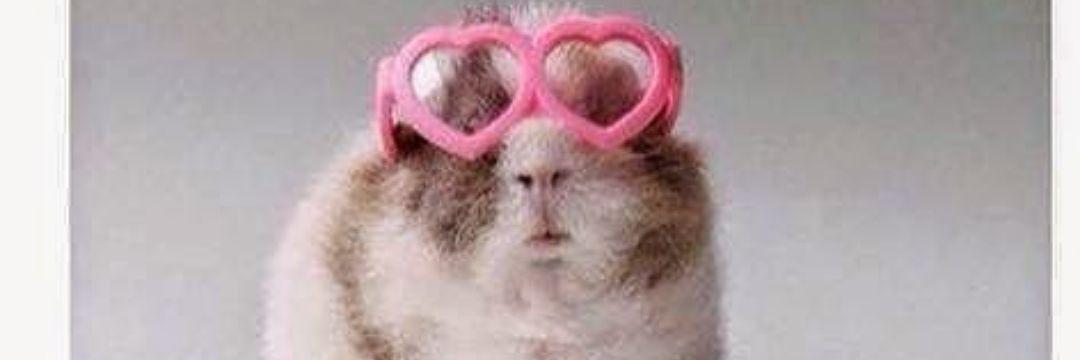 Kaitlinisloved's profile banner image
