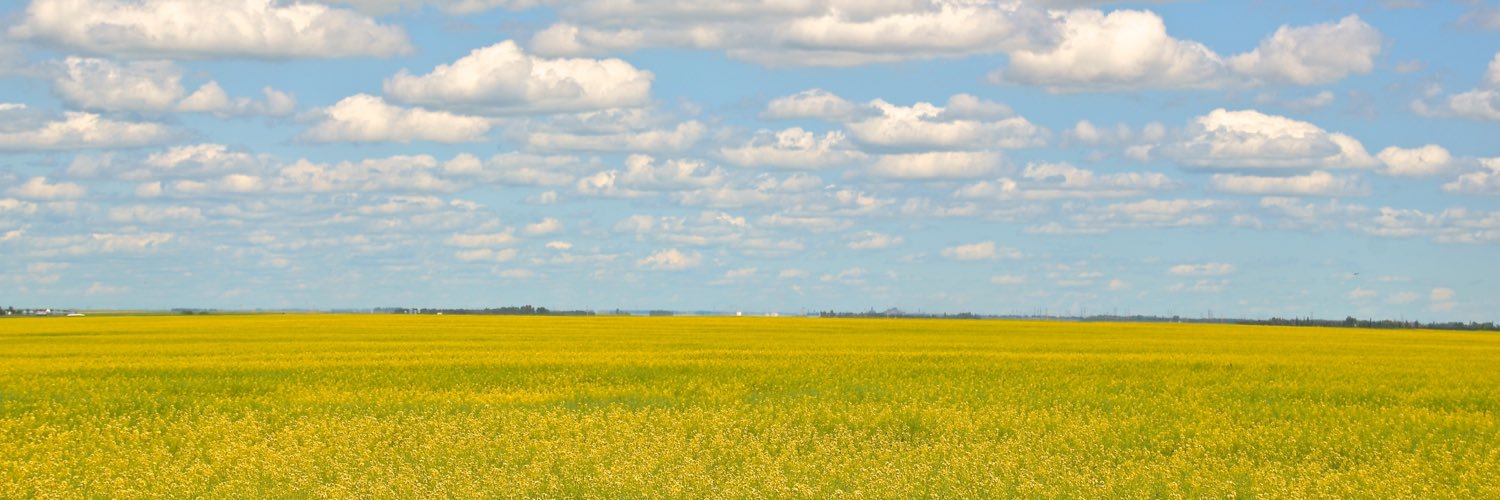 JeffPoppel's profile banner image