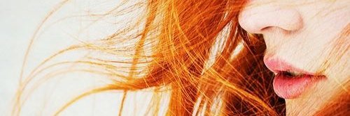 WildWolfSister's profile banner image