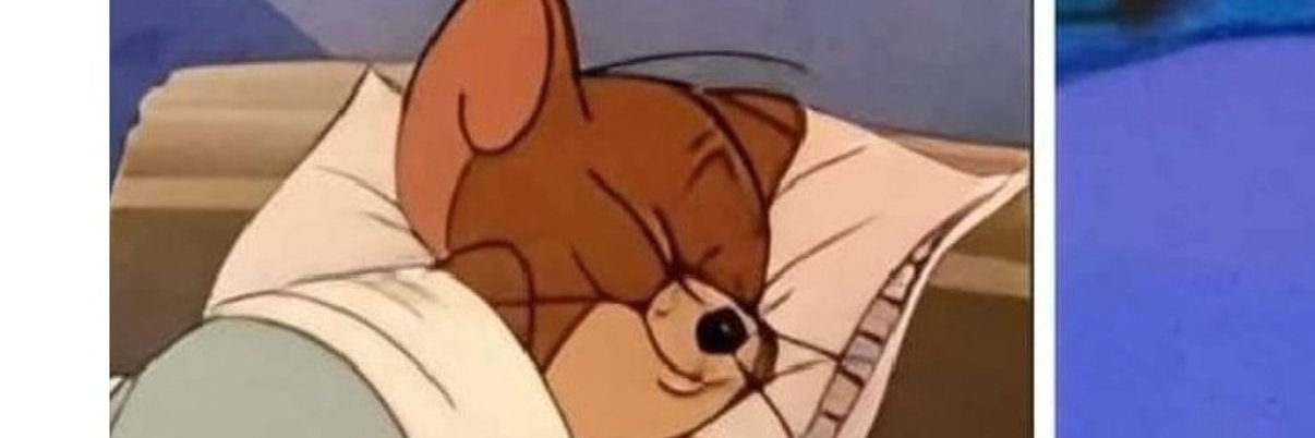 Mister_Factous's profile banner image
