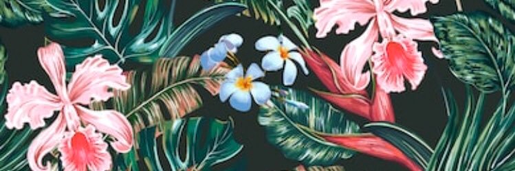 CissTello's profile banner image