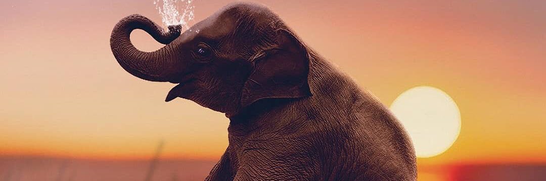 SkyBit $OMNI🐝 🎩🎲🎭⚔️🅾️ banner