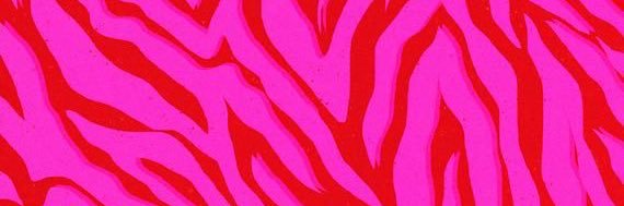 dev_edz's profile banner image