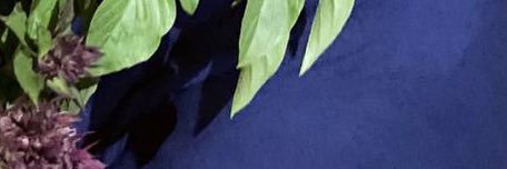 syoomh's profile banner image