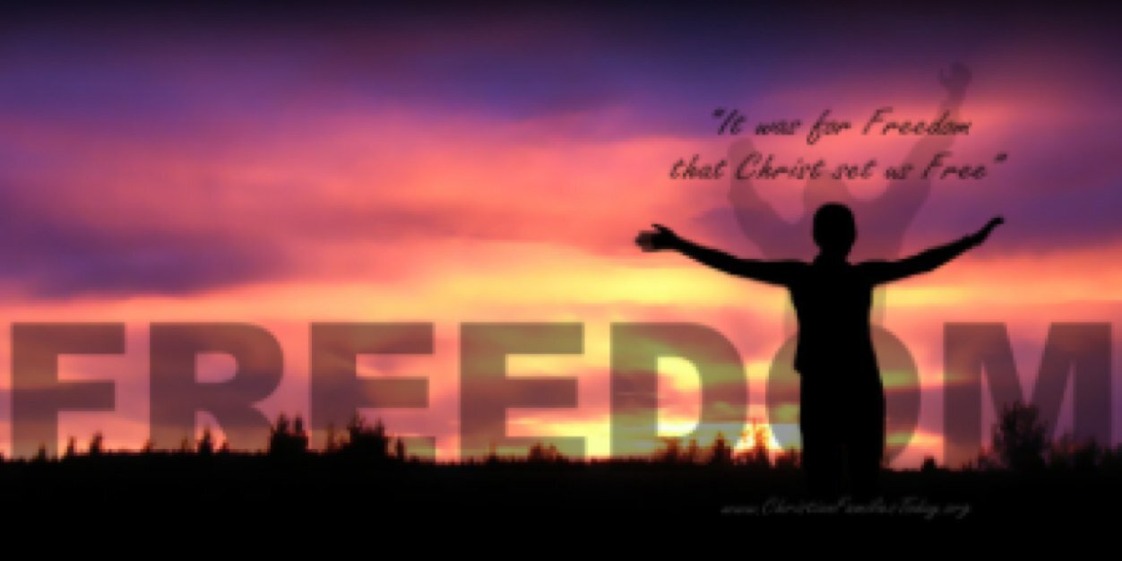 HaleyBirkle's profile banner image