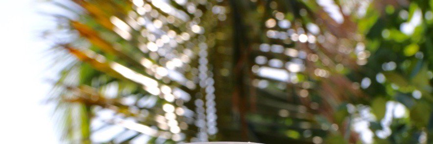willowood_co's profile banner image