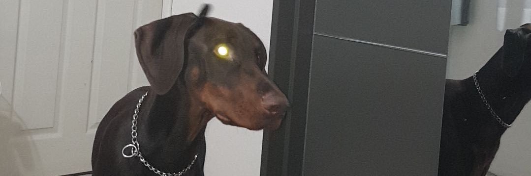 dbrowndenzel's profile banner image