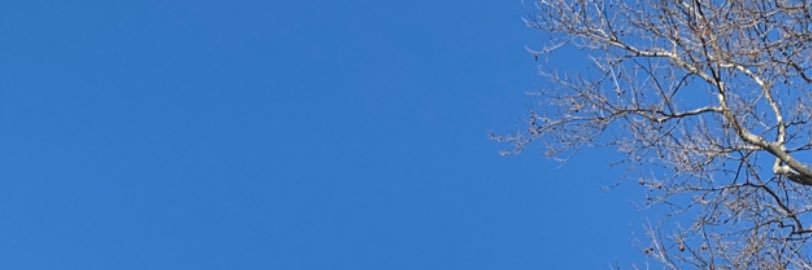 hanprezton's profile banner image