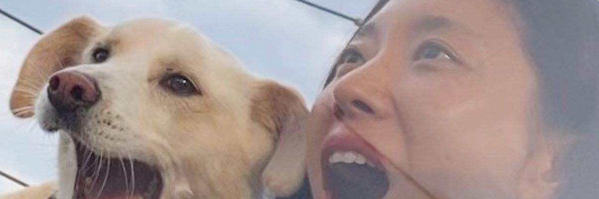 dhdhappy's profile banner image