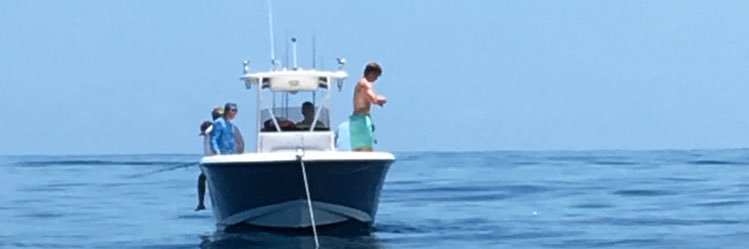 MederoTaylor's profile banner image