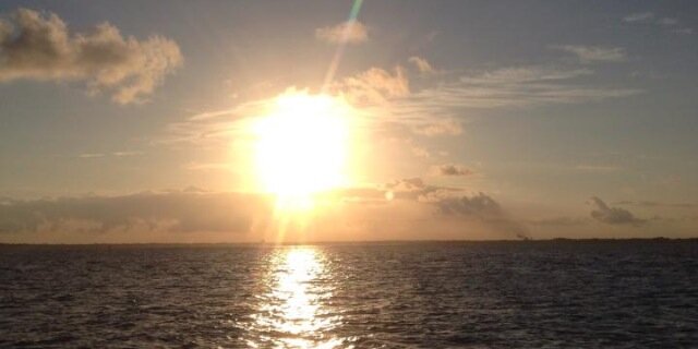 DanaGizzi's profile banner image