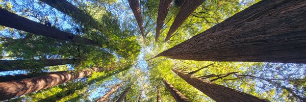 ronald071010 Profile Banner